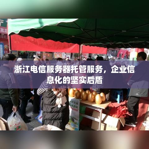 浙江电信服务器托管服务，企业信息化的坚实后盾