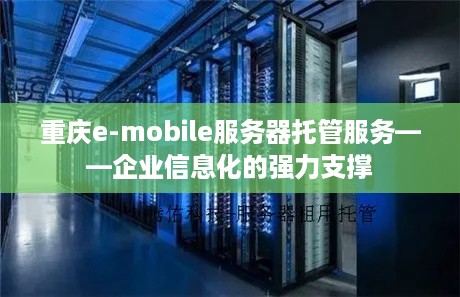 重庆e-mobile服务器托管服务——企业信息化的强力支撑