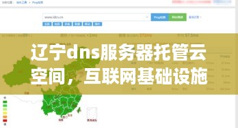 辽宁dns服务器托管云空间，互联网基础设施的革新与未来展望