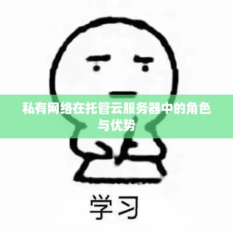 私有网络在托管云服务器中的角色与优势