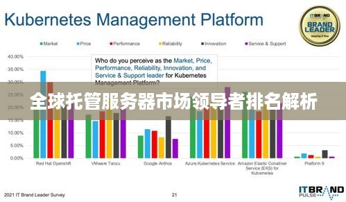 全球托管服务器市场领导者排名解析