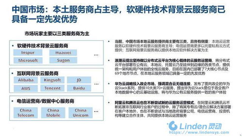 国内托管服务器市场竞争激烈，众多服务商提供不同的托管服务以吸引用户。以下是一篇关于国内托管服务器排名榜的文章