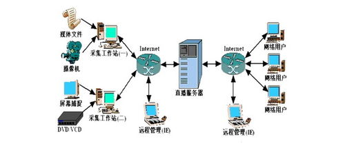 流媒体服务器托管费用标准解析