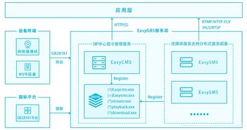 流媒体服务器托管费用标准解析