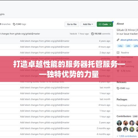 打造卓越性能的服务器托管服务——独特优势的力量