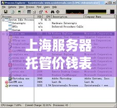 上海服务器托管价钱表解析