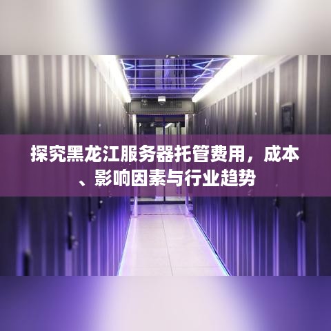 探究黑龙江服务器托管费用，成本、影响因素与行业趋势