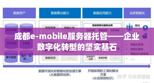 成都e-mobile服务器托管——企业数字化转型的坚实基石