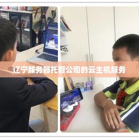 辽宁服务器托管公司的云主机服务