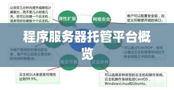 程序服务器托管平台概览