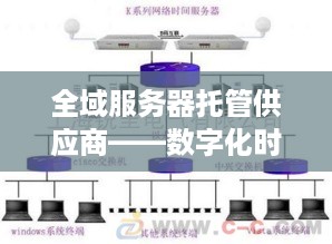 全域服务器托管供应商——数字化时代的守护者