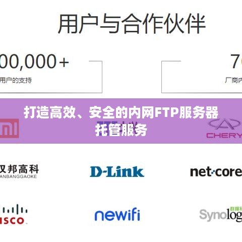 打造高效、安全的内网FTP服务器托管服务