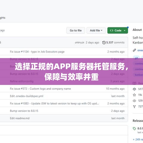 选择正规的APP服务器托管服务，保障与效率并重