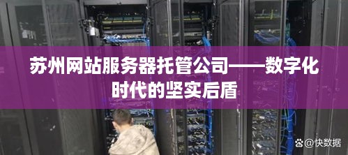 苏州网站服务器托管公司——数字化时代的坚实后盾