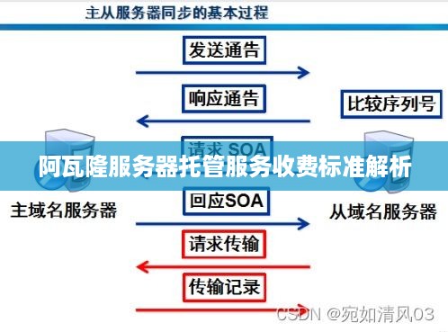 阿瓦隆服务器托管服务收费标准解析