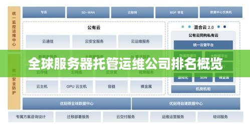 全球服务器托管运维公司排名概览