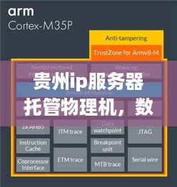 贵州ip服务器托管物理机，数据安全与性能优化的双重保障