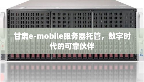 甘肃e-mobile服务器托管，数字时代的可靠伙伴