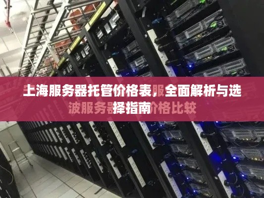 上海服务器托管价格表，全面解析与选择指南