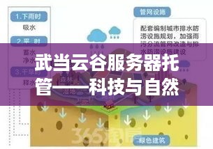 武当云谷服务器托管——科技与自然和谐共存的典范