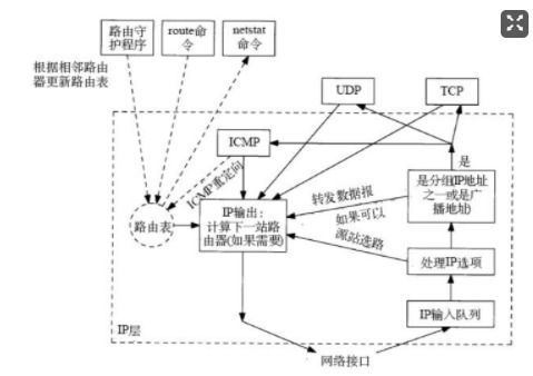 服务器托管方的权限与数据保护，一个深入解析