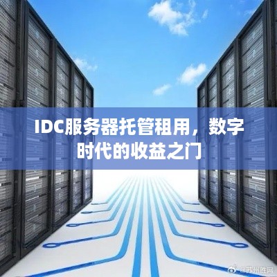 IDC服务器托管租用，数字时代的收益之门