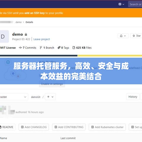 服务器托管服务，高效、安全与成本效益的完美结合