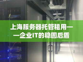 上海服务器托管租用——企业IT的稳固后盾