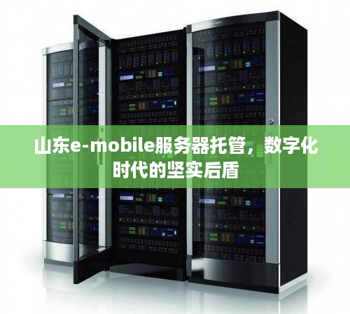 山东e-mobile服务器托管，数字化时代的坚实后盾