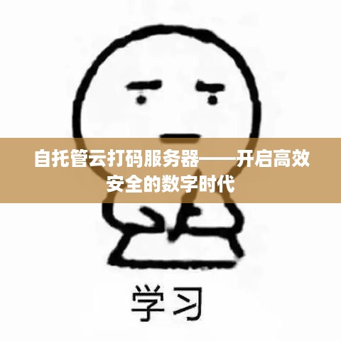 自托管云打码服务器——开启高效安全的数字时代