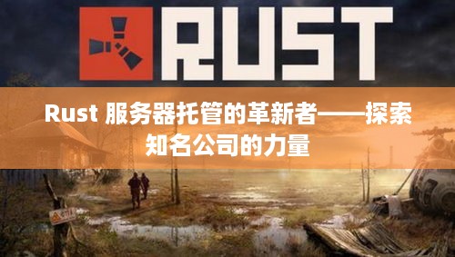 Rust 服务器托管的革新者——探索知名公司的力量