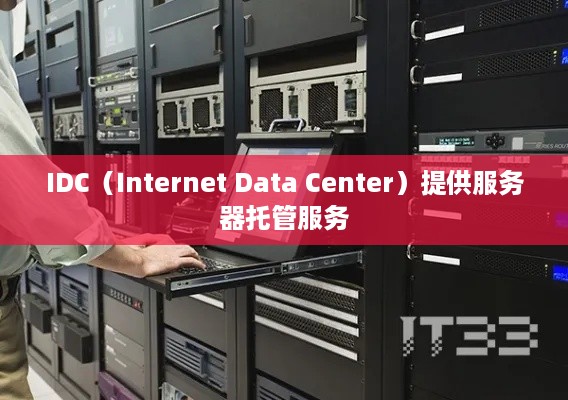 IDC（Internet Data Center）提供服务器托管服务