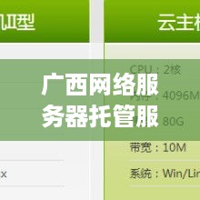 广西网络服务器托管服务概览