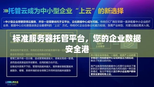 标准服务器托管平台，您的企业数据安全港