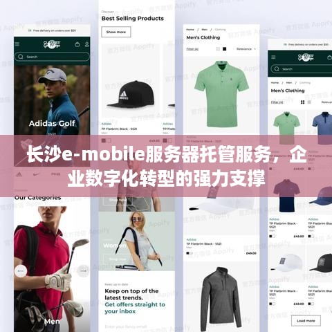 长沙e-mobile服务器托管服务，企业数字化转型的强力支撑