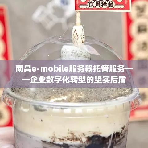 南昌e-mobile服务器托管服务——企业数字化转型的坚实后盾