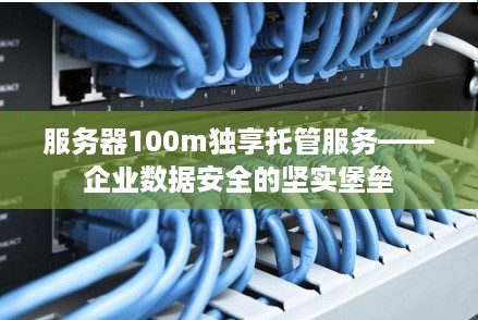 服务器100m独享托管服务——企业数据安全的坚实堡垒