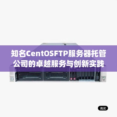 知名CentOSFTP服务器托管公司的卓越服务与创新实践