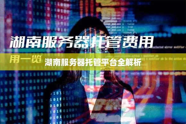 湖南服务器托管平台全解析