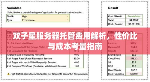 双子星服务器托管费用解析，性价比与成本考量指南