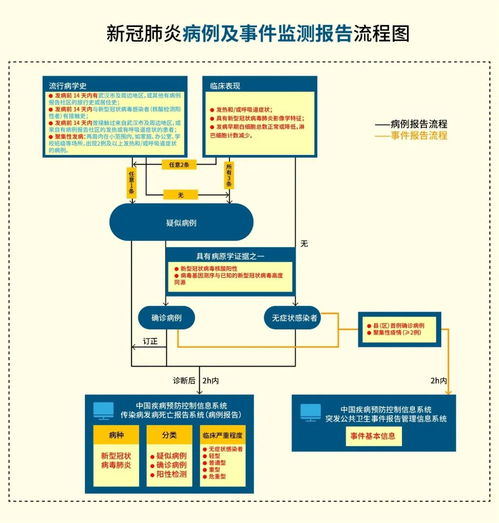 服务器托管流程图解，一站式解决方案的详细指南