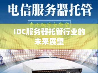 IDC服务器托管行业的未来展望