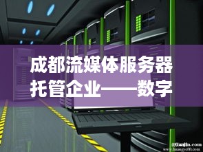 成都流媒体服务器托管企业——数字时代的守护者