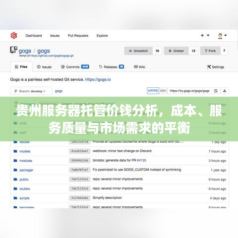 贵州服务器托管价钱分析，成本、服务质量与市场需求的平衡