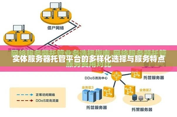 实体服务器托管平台的多样化选择与服务特点