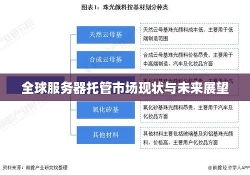 全球服务器托管市场现状与未来展望