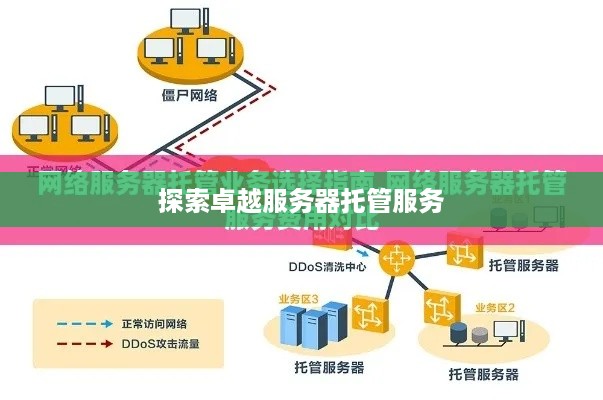 探索卓越服务器托管服务