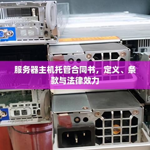 服务器主机托管合同书，定义、条款与法律效力