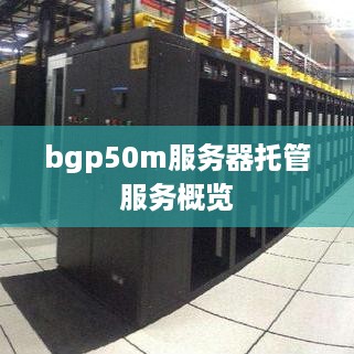 bgp50m服务器托管服务概览