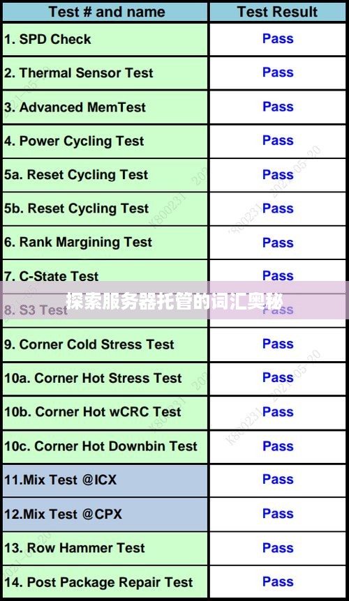 探索服务器托管的词汇奥秘